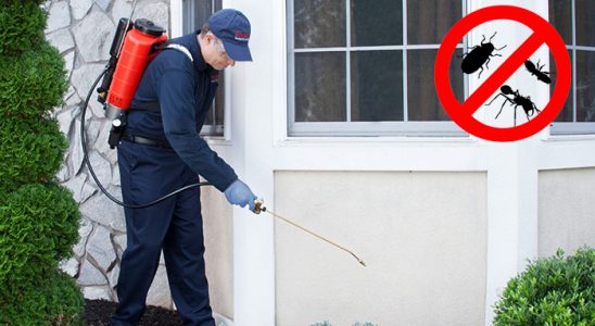 Çorlu Gümüşkurt İlaçlama böcek ilaçlama ve haşere kontrolü — ilaclama-tr.com
